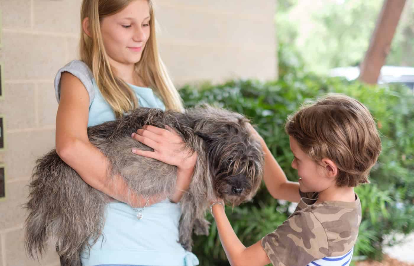 holding dog at animal hospital after microchipping