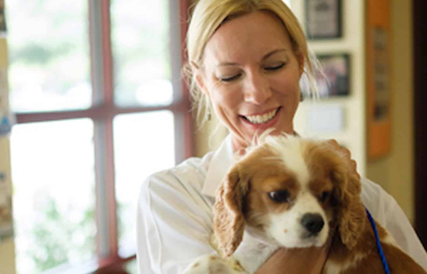 veterinarian and dog at parasite prevention