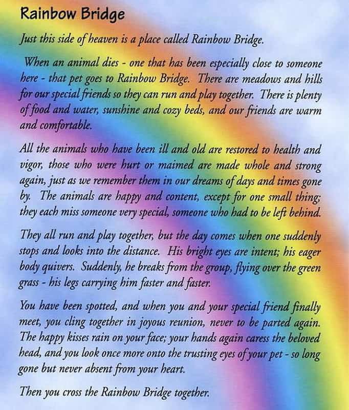end of pet life rainbow bridge poem